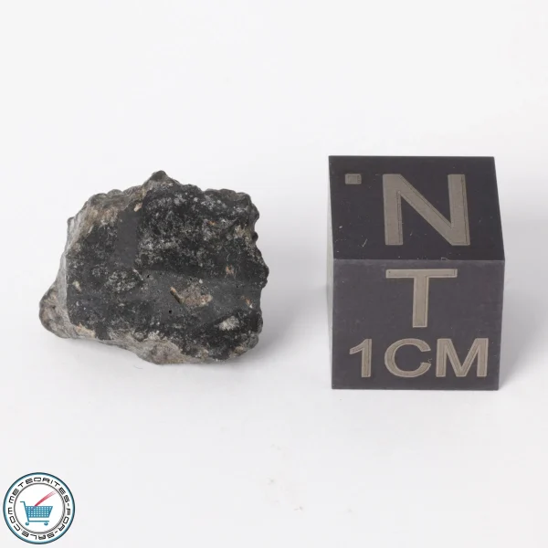 NWA 11788 Lunar Meteorite 1.5g Polished Window
