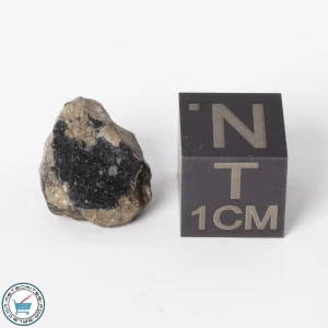 NWA 11788 Lunar Meteorite 1.4g Polished Window