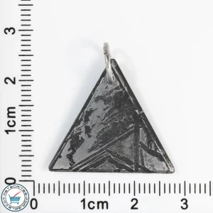 Aletai Meteorite 3.7g Pendant