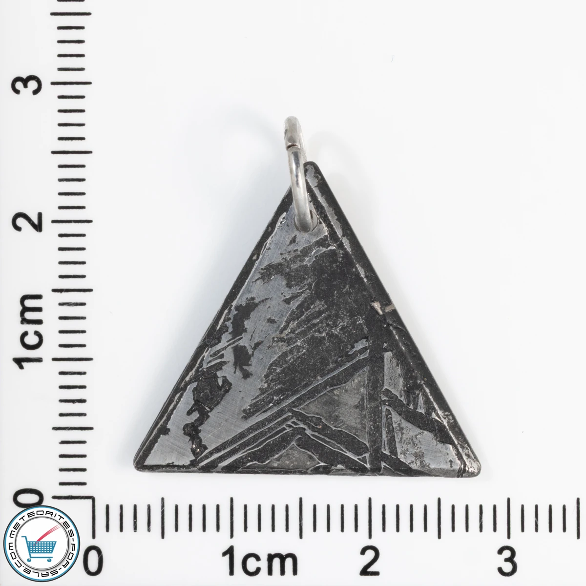 Aletai Meteorite 3.7g Pendant