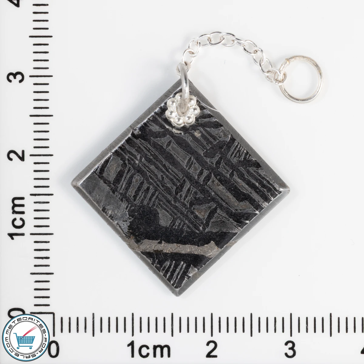 Aletai Meteorite 5.3g Pendant