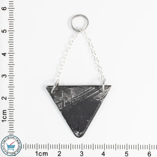 Aletai Meteorite 3.8g Pendant