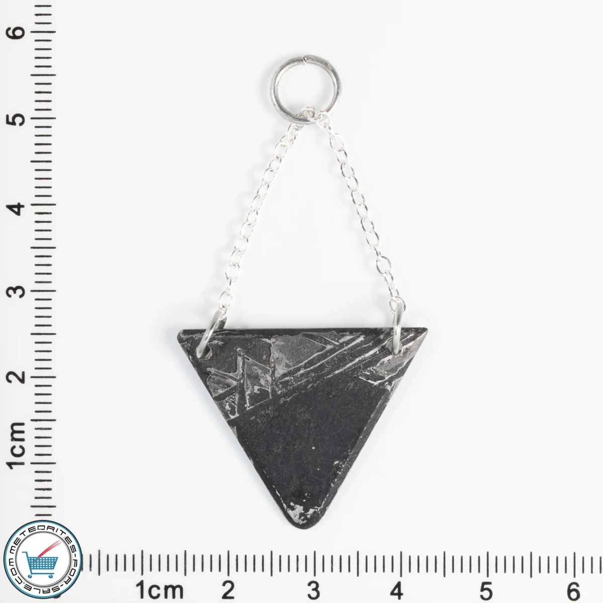 Aletai Meteorite 3.8g Pendant
