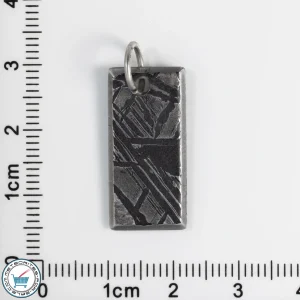 Aletai Meteorite 3.6g Pendant