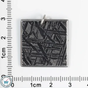 Aletai Meteorite 7.9g Pendant