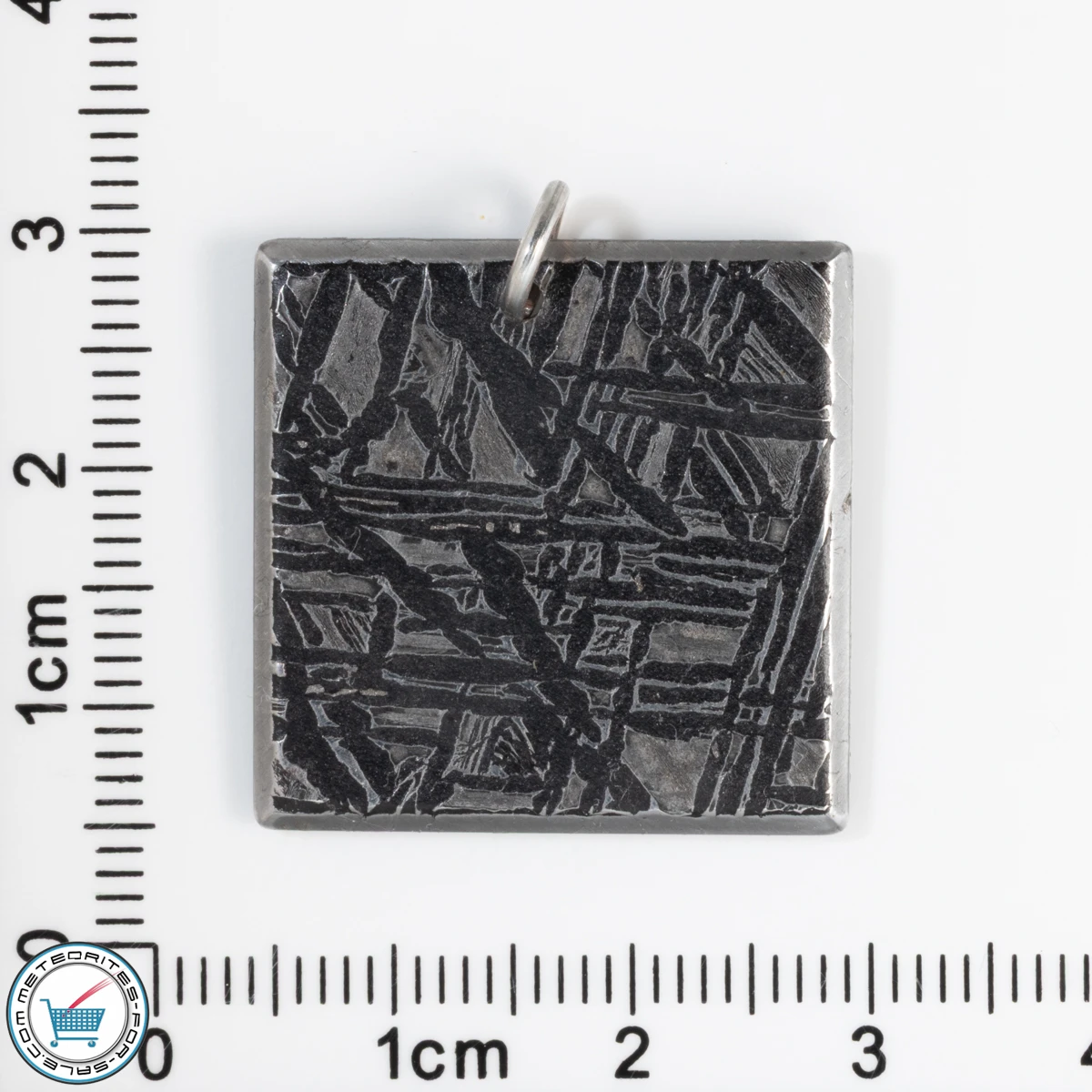 Aletai Meteorite 7.9g Pendant