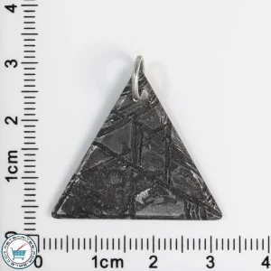 Aletai Meteorite 4.2g Pendant