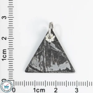 Aletai Meteorite 3.3g Pendant