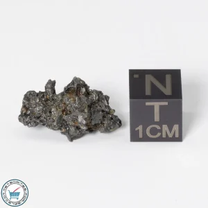 Admire Pallasite Meteorite 2.28g Nugget
