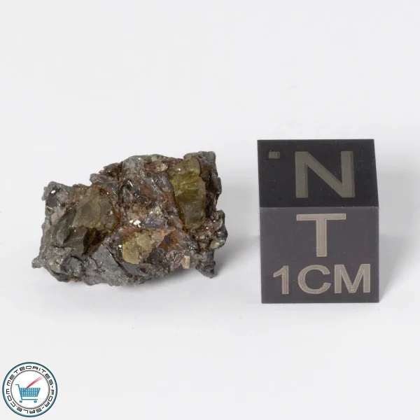 Admire Pallasite Meteorite 3.94g Nugget