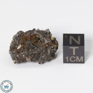 Admire Pallasite Meteorite 5.48g Nugget