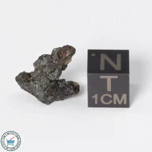 Admire Pallasite Meteorite 1.72g Nugget
