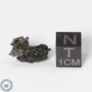 Admire Pallasite Meteorite 1.56g Nugget