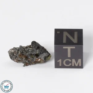 Admire Pallasite Meteorite 1.25g Nugget