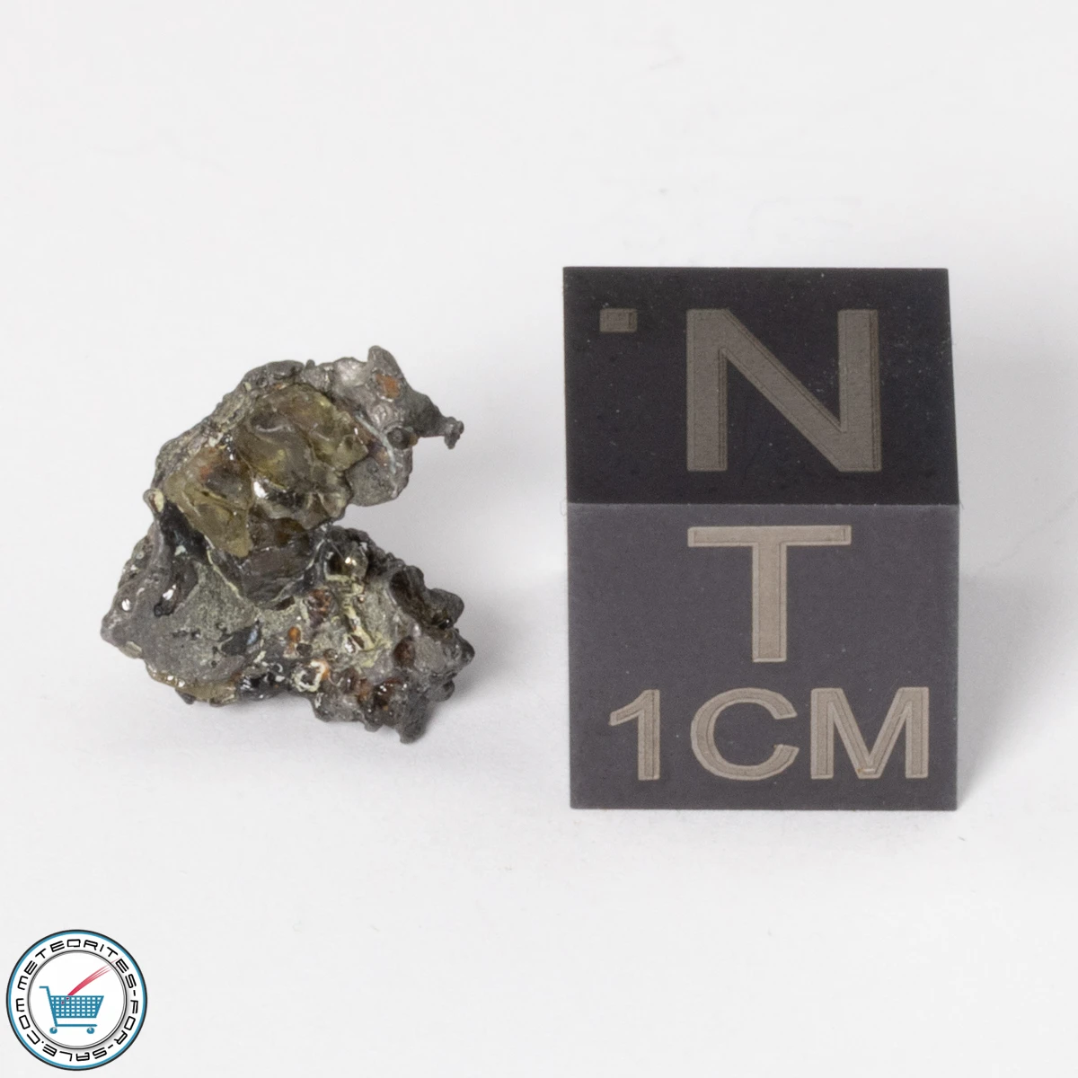 Admire Pallasite Meteorite 0.77g Nugget