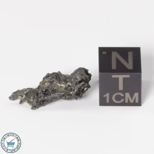 Admire Pallasite Meteorite 1.28g Nugget
