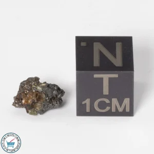 Admire Pallasite Meteorite 0.75g Nugget