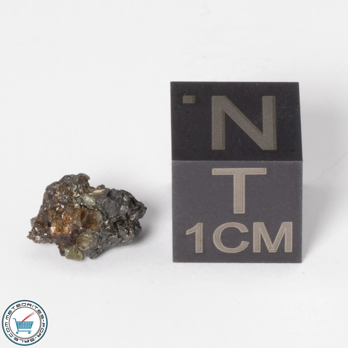 Admire Pallasite Meteorite 0.75g Nugget