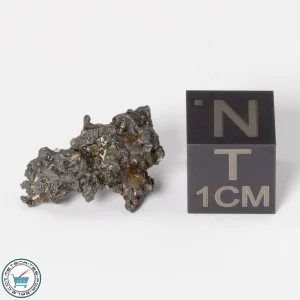 Admire Pallasite Meteorite 1.57g Nugget