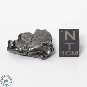Aletai Meteorite 10.8g Crystal