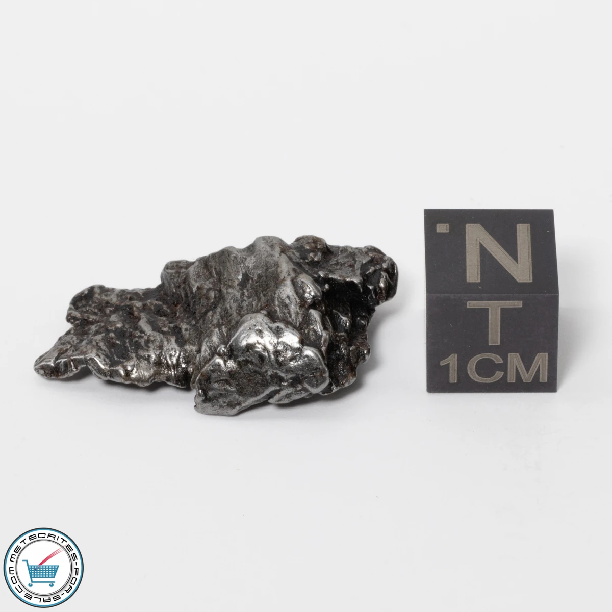 Aletai Meteorite 7.9g Crystal