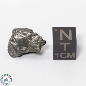 Aletai Meteorite 6.1g Crystal