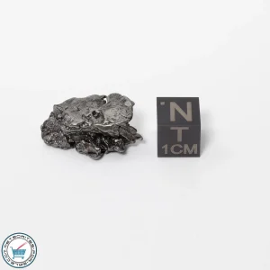 Aletai Meteorite 8.5g Crystal