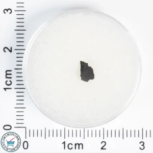 Aguas Zarcas CM2 Meteorite 0.05g