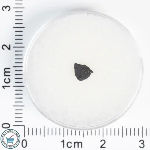Aguas Zarcas CM2 Meteorite 0.04g