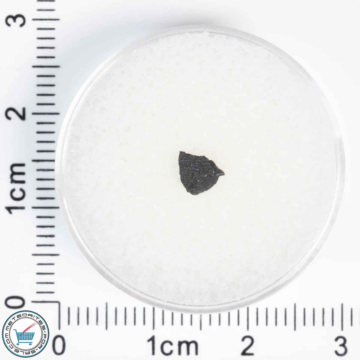 Aguas Zarcas CM2 Meteorite 0.04g