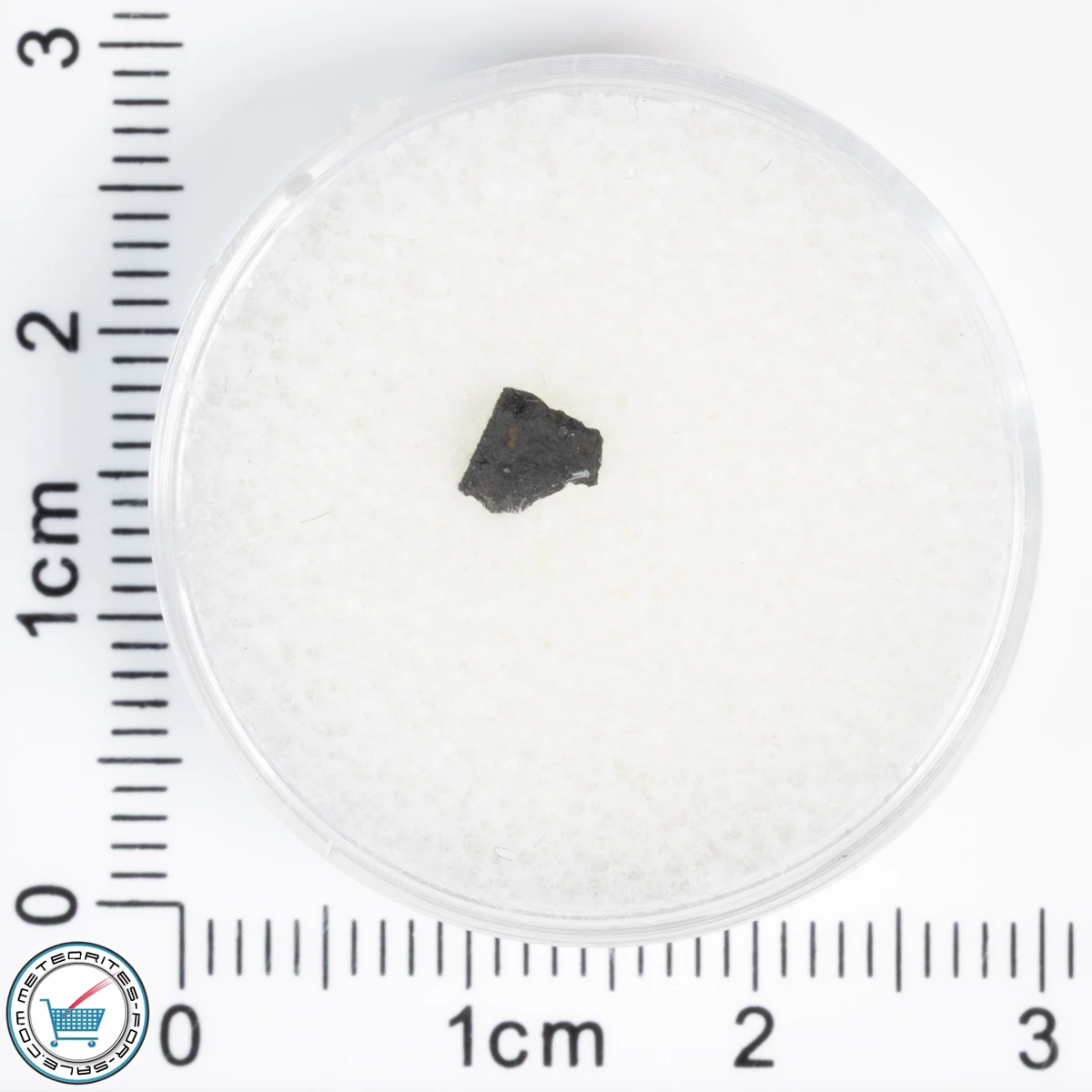 Aguas Zarcas CM2 Meteorite 0.05g