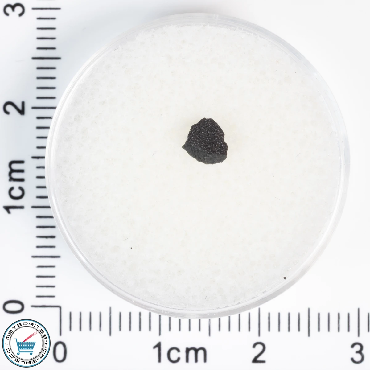 Aguas Zarcas CM2 Meteorite 0.05g