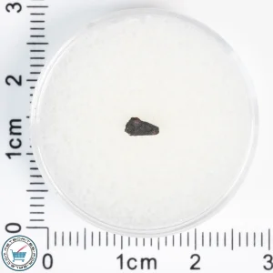 Aguas Zarcas CM2 Meteorite 0.02g