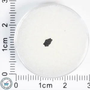 Aguas Zarcas CM2 Meteorite 0.02g