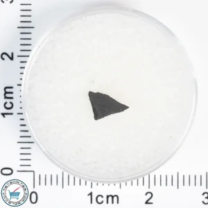 Aguas Zarcas CM2 Meteorite 0.05g