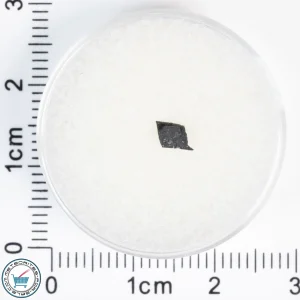 Aguas Zarcas CM2 Meteorite 0.03g