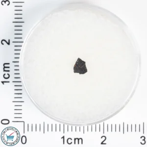 Aguas Zarcas CM2 Meteorite 0.02g