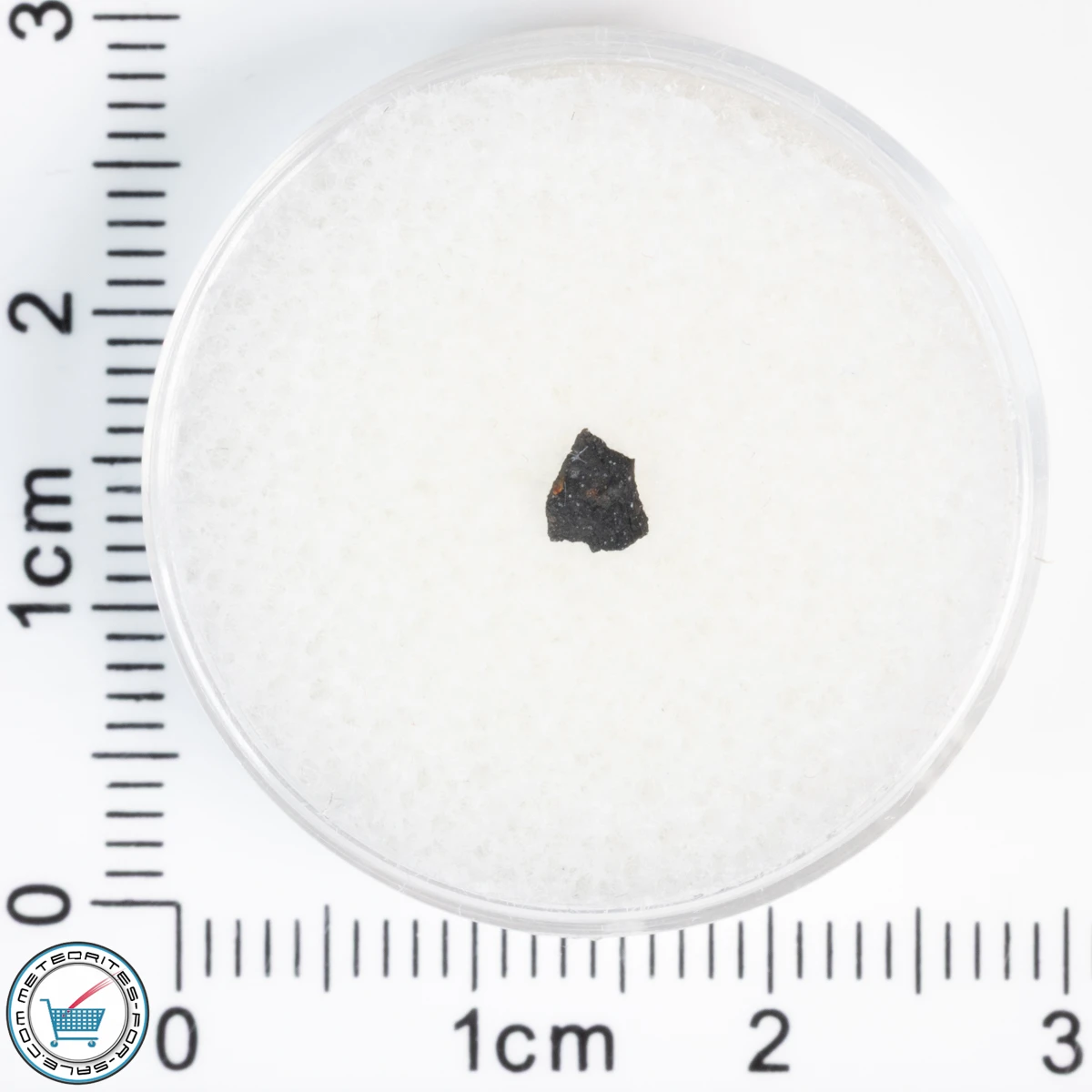 Aguas Zarcas CM2 Meteorite 0.02g