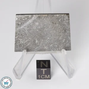Balambala Meteorite 24.7g Slice