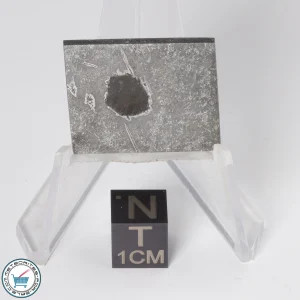 Balambala Meteorite 12.9g Slice