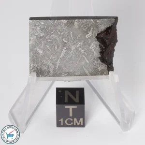 Balambala Meteorite 15.9g Slice