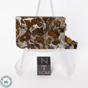 Brahin Pallasite Meteorite 11.1g Slice