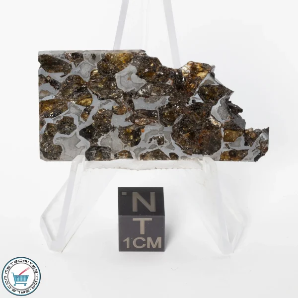 Brahin Pallasite Meteorite 12.2g Slice