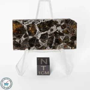 Brahin Pallasite Meteorite 13.5g Slice