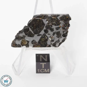Brahin Pallasite Meteorite 9.7g Slice