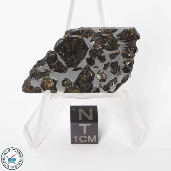 Brahin Pallasite Meteorite 9.7g Slice