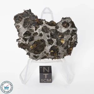 Brahin Pallasite Meteorite 16.9g Slice