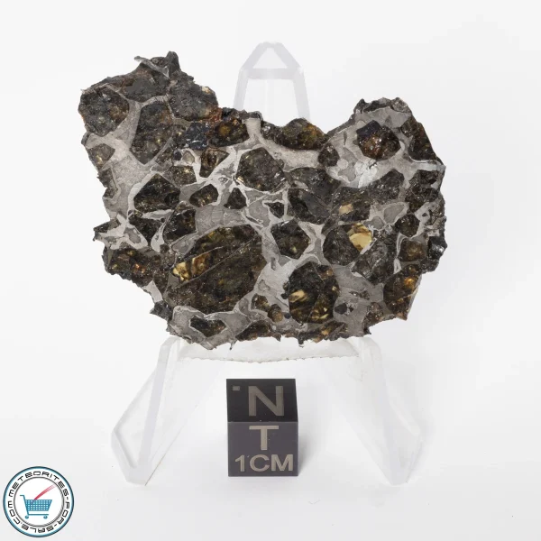 Brahin Pallasite Meteorite 16.9g Slice