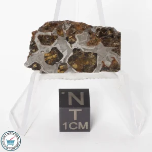 Brahin Pallasite Meteorite 5.2g Slice