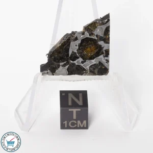 Brahin Pallasite Meteorite 5.3g Slice